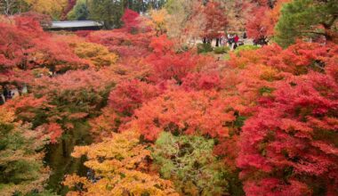 Tofuku-ji, Kyoto