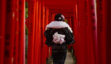 Nezu Shrine Torii Gates, Tokyo