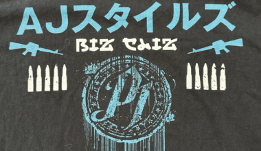 Looking for this AJ styles bullet club era shirt. But I’m looking for the original version. Where it had the skull instead of his P1 logo. I’ve been looking on the Internet and cannot find it anywhere.