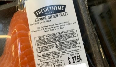 Is this the correct salmon for sushi?