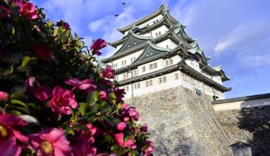 Nagoya Castle this afternoon