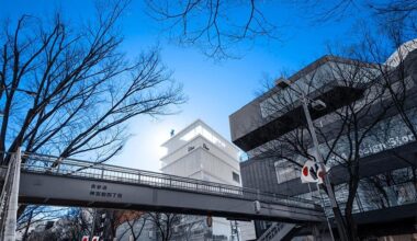 The Omotesando area, Tokyo