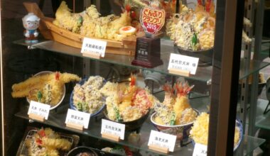 I love looking at Japanese food sample