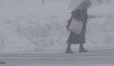 Extra shinkansen services to run amid heavy snow along Sea of Japan coast