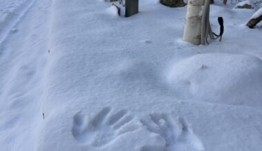 Powder snow “ HI “ in Hokkaido