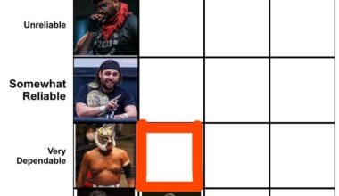 Satoshi Kojima was voted a Mid Tier Performer that Always Delivers. Hartley Jackson and Yoshi Hashi as close runner ups. Who in the current roster is a Mid Tier Performer and is Very Dependable (Usually Delivers). Criteria in the Caption