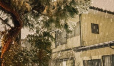 Recent snow in Kanto