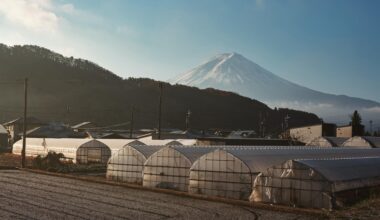 Greenhouses in Kawaguchi