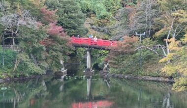 Autumn Reflections in Takaoka.