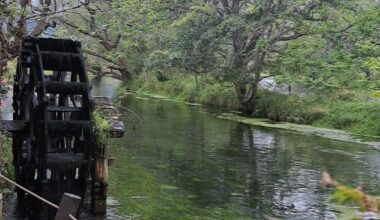 Japanese scenery: Daio Wasabi Farm