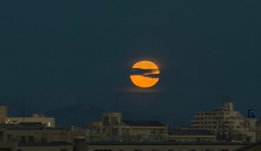 Moon last night!