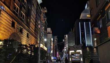 In the early 1980s a serial killer stalked Tokyo's Kabukicho neighborhood. All the victims were women strangled in love hotels with methamphetamine found in their systems. The cases are still unsolved.