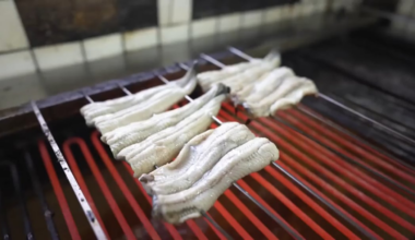 Sampuru(サンプル) The Japanese Art of Fake Food