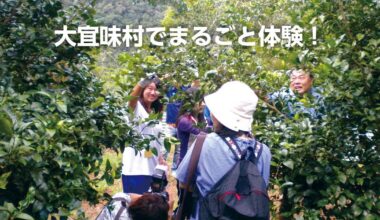 Homestay/Minshuku in Okinawa