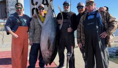 You Hear all the time about Bluefin Tuna. Is Yellowfin or Blackfin Tuna good for Sushi/Sashimi??