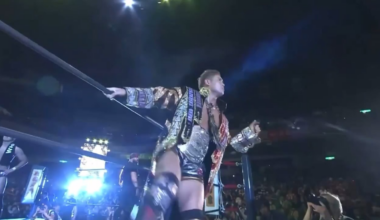 The duality of Okada and Shibata