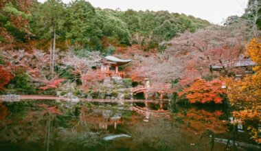 A day around Kyoto & Nara on film 🎞️ - Canon Elan 7 / Fuji Superia 400 / 24-70mm 1:4 EF