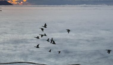 Breaking up the morning