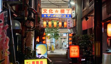 Sendai Nights