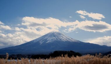 My favorite 3 pictures I took of Fuji