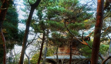 I find it amazing you can find serene scenes like this in Tokyo