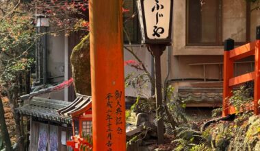 Torii here and there