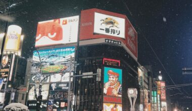 "Japan Aesthetic"