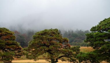 The mist and rain borrowed the borrowed scenery at the Shugakuin Imperial Villa.