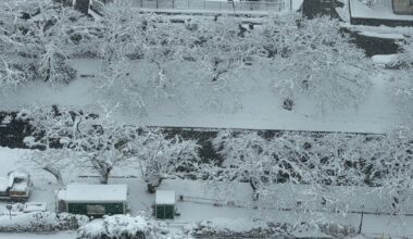 Snowy Toyama