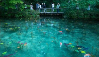 Monet's Pond in Gifu