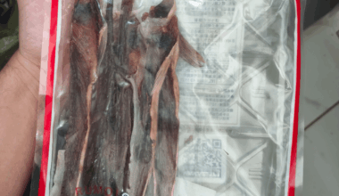 How would you eat this?