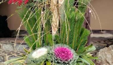 A small request to foreign tourists participating in hatsumode: This is an important ritual, not a show for social media content. Be respectful, be mindful. Follow the behavior of locals, don't livestream at shrines and temples. Be aware of where photography is prohibited.