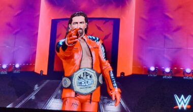 IWGP belts in video games