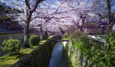 Kyoto Philosopher's path in March