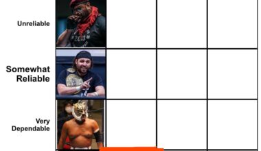 Tory Yano was voted as a Low Ceiling Performer with near perfect consistency. Who in the current NJPW roster is a Mid Tier Performer and near perfect consistency ? (Criteria in Caption)