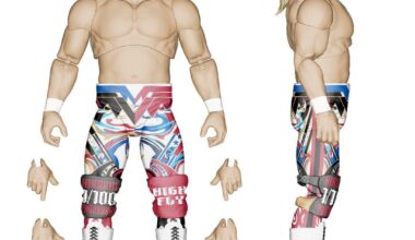 Must have Tanahashi Figure!!