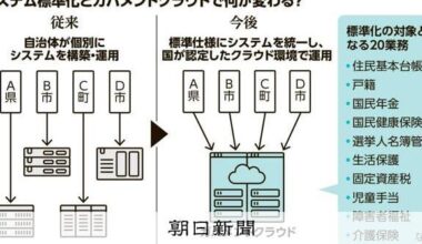Increasing reliance on foreign capital and rising costs: Standardization of local government systems is a lost cause