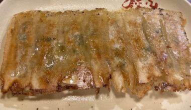 What style of Gyoza is this?