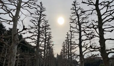 Shinjuku Gyoen National Garden (February 2020)