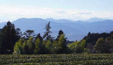 Most people think matcha comes from Kyoto – but Japan’s largest tea region is Shizuoka