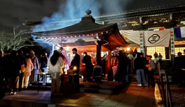 Something magic in my photo of new year in 遊行時, Fujisawa main shrine