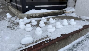 You just can’t beat the snow duck power