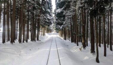 Photos from a 10-day, 4000 km local train adventure in snowy Tohoku over the winter holidays  ☃️