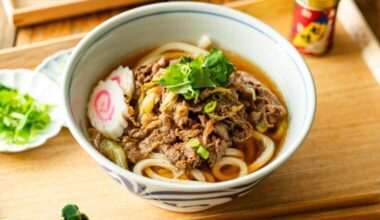 What do you consider is the best Undo? I enjoy Niku Udon the most!