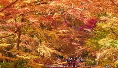 Ohara (Kyoto Prefecture) feat. Sanzen-in