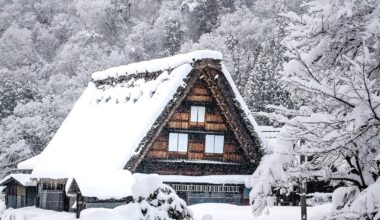 Revisiting pictures from Japan