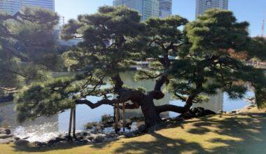 Hamarikyu Gardens, Tokyo, Autumn