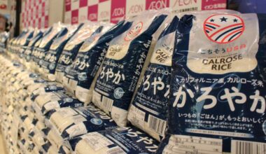 Japan's private-sector imports of rice surge 104-fold on high demand