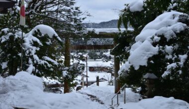 Winter at Motoise Naiku Kodai Shrine, Kyoto