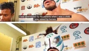 As 2026 is the year of the fire horse, what if Masked Horse returned and did a NJPW/Umamusume collab?